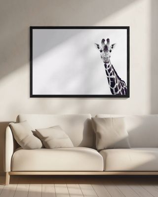 Giraffe's Gentle Gaze