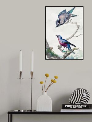 Two Birds  a Blue Jay and a Purple Breasted Cotinga