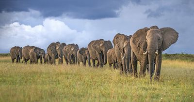 The Land Of The Giants