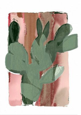 Cactus Green Pink 1