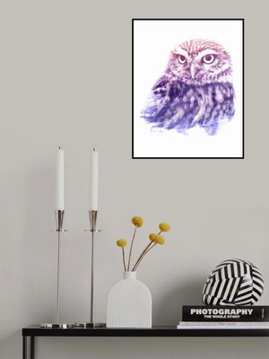 0013 Animal Watercolor