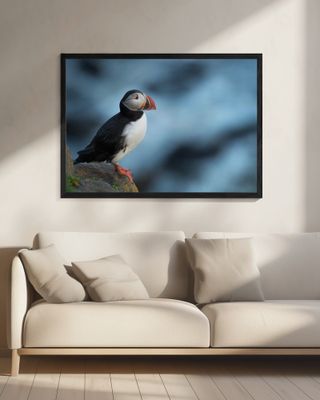 Where's the fish this time..