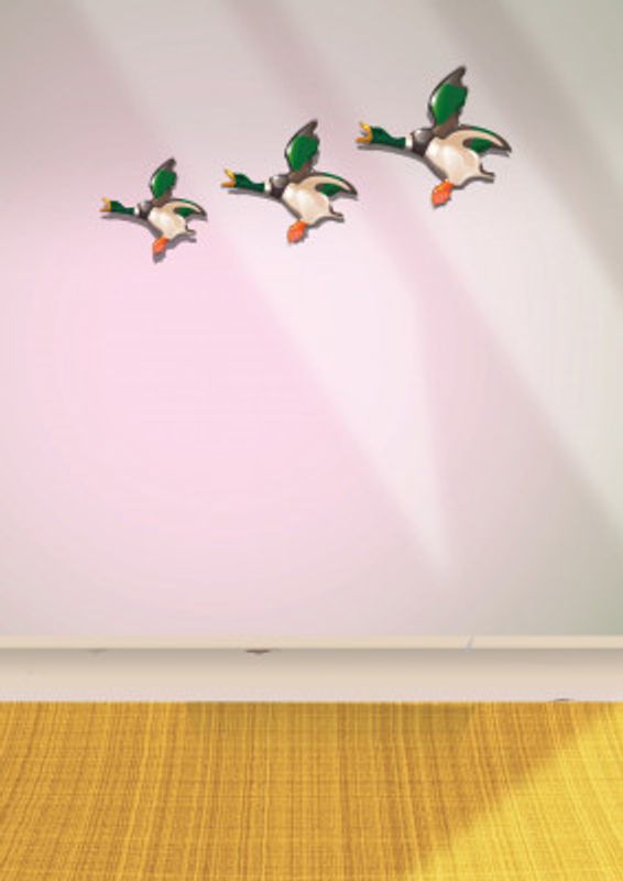 Flying Ducks