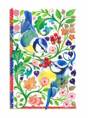 Blue Tits and Berries