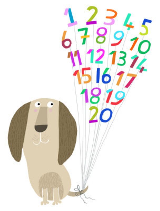 Dog with Numbers 1 to 20 by Artist Carla Daly