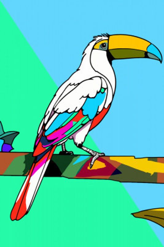 Toucan Tango 2
