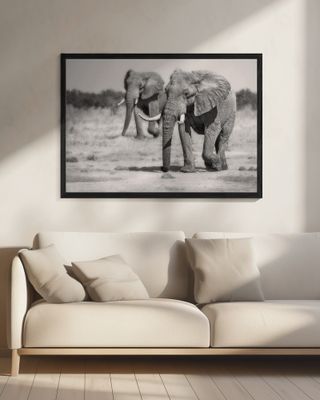 Twin Elephants
