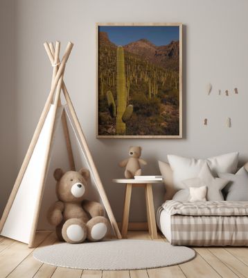 Postcard From Tucson