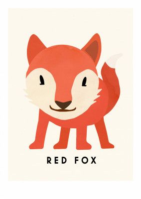 Red Fox