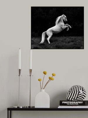 a short story of a blade of grass in a hoof