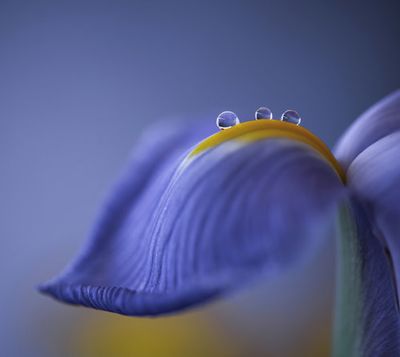 Spring is just around the corner