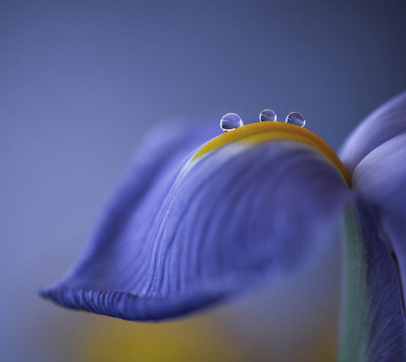 Spring is just around the corner