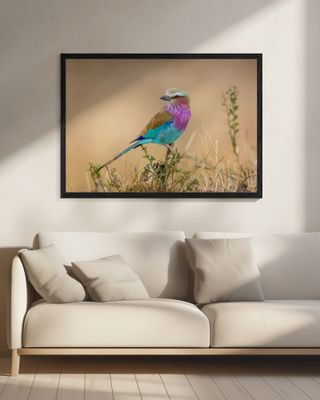 God's gift to the sky.