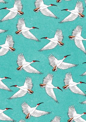Crested Ibis Pattern