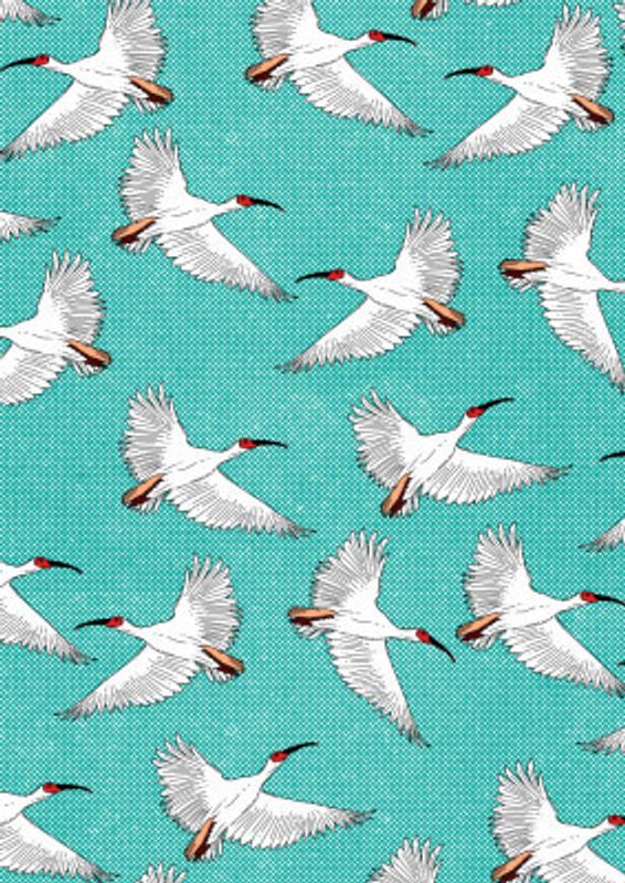 Crested Ibis Pattern