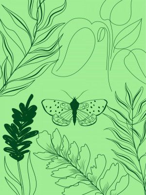 Green Flight Harmony