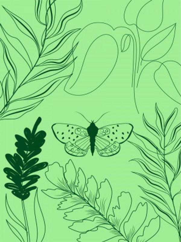 Green Flight Harmony