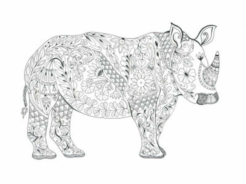 Floral Rhino Design