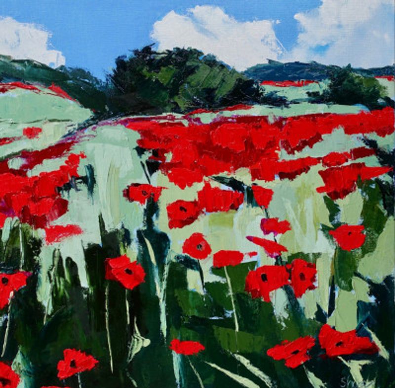 Poppies