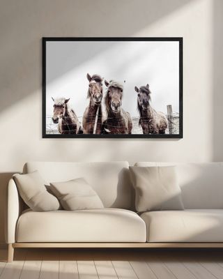 Iceland Horses Faxi and Fifi