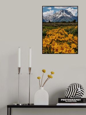 Blame It On the Tetons