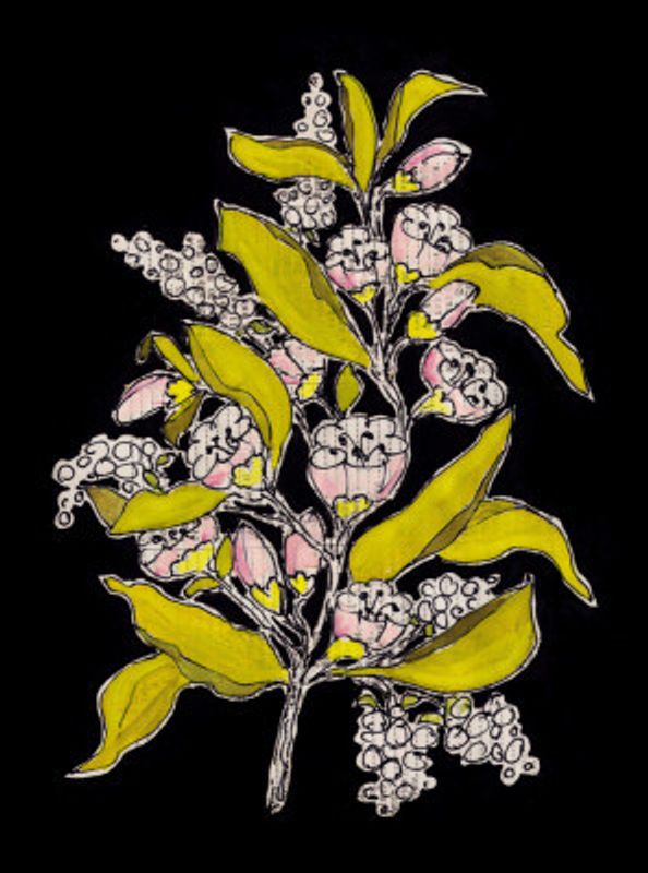 Blossoming branch with black background gouache painting