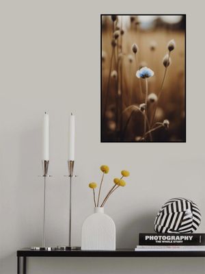 Blue Blossom Whispers