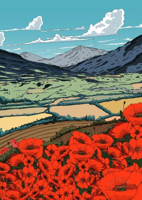 Poppies In The Valley