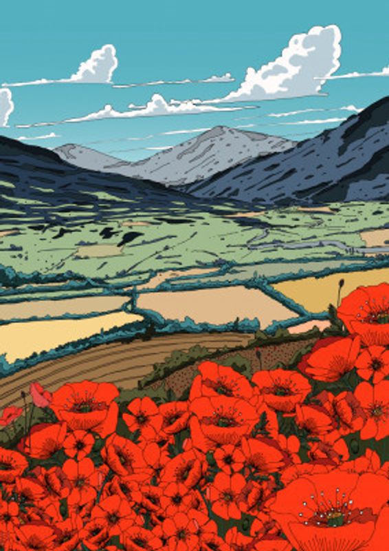 Poppies In The Valley