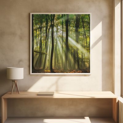 Sunny start to the day ........