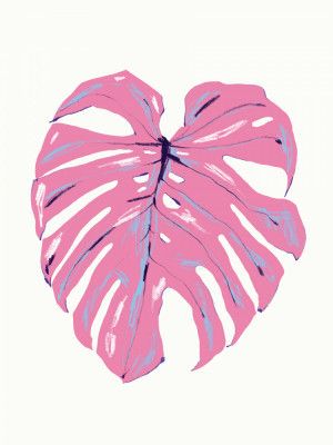Monstera Leaf Pink