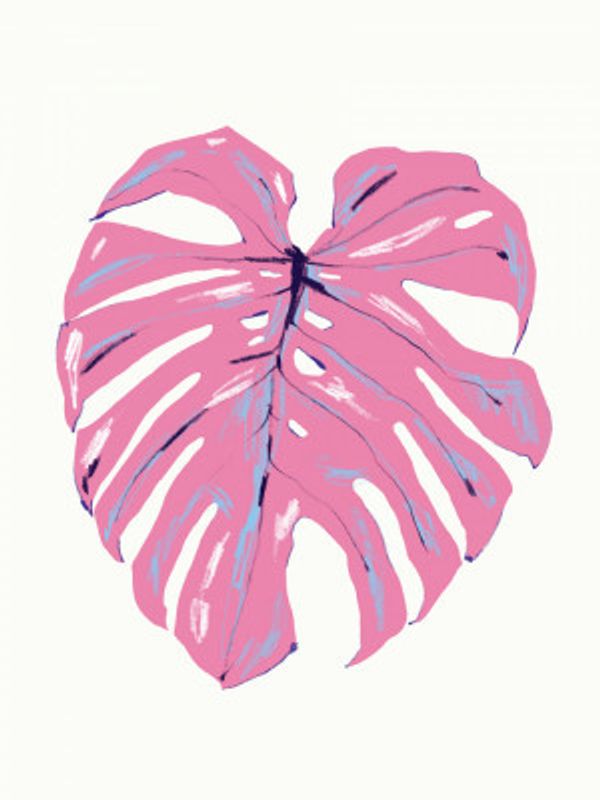 Monstera Leaf Pink