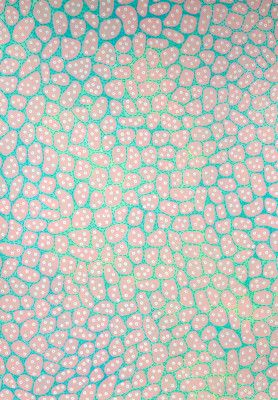 Dotted Pink Organic Shapes