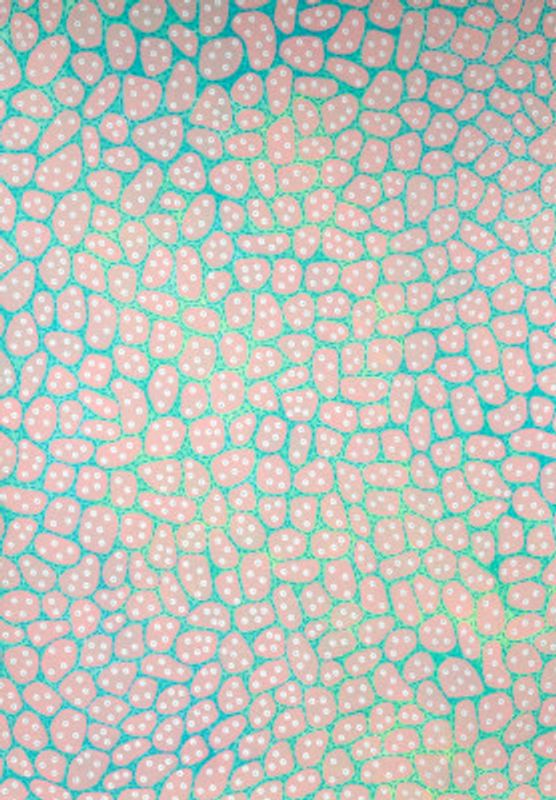 Dotted Pink Organic Shapes