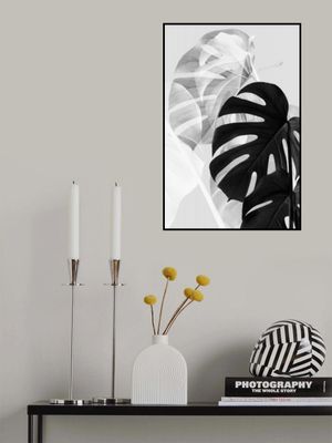 Monstera Black and White