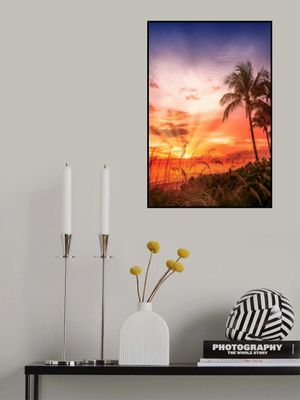 BONITA BEACH Picturesque Sunset