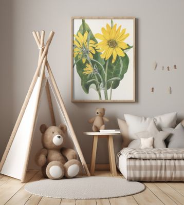 Balsamroot From North American Wildflowers (1925) By Mary Vaux Walcott