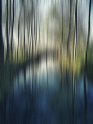 A Walk In the Countryside