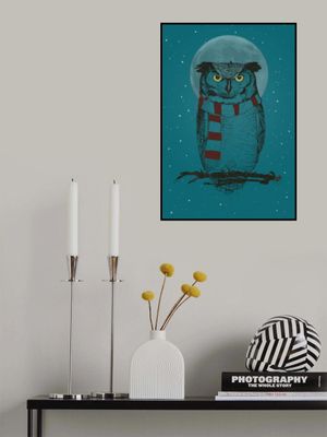Winter owl