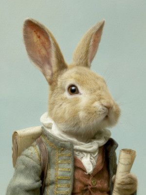 Navigator Rabbit