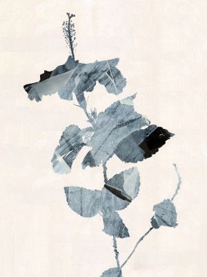 Botanical Silhouette No1 Print