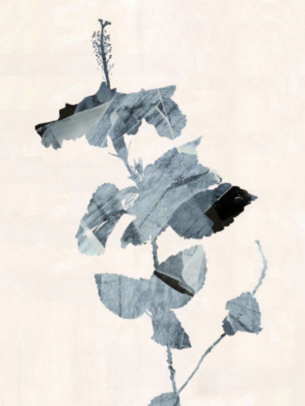 Botanical Silhouette No1 Print
