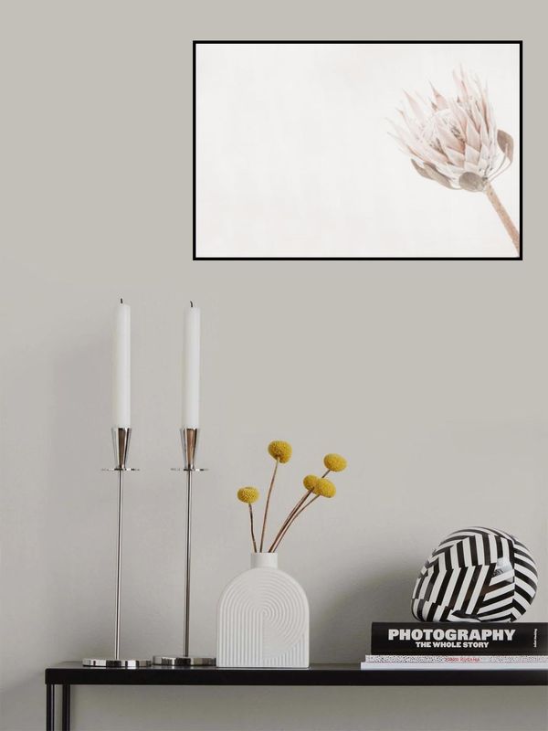 Protea on Light Background