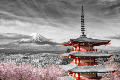 Magnificent view of Mount Fuji with Chureito Pagoda during cherry blossom season - colorkey