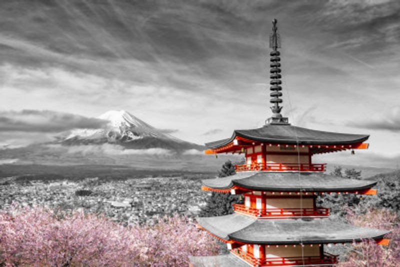 Magnificent view of Mount Fuji with Chureito Pagoda during cherry blossom season - colorkey