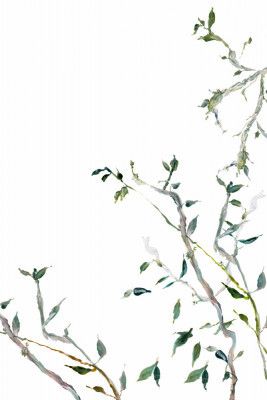 Botanical Branches No1