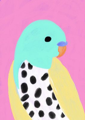 Polka Dot Parakeet