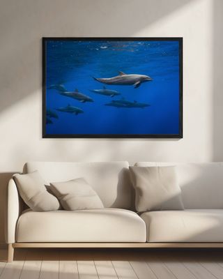 Dolphins
