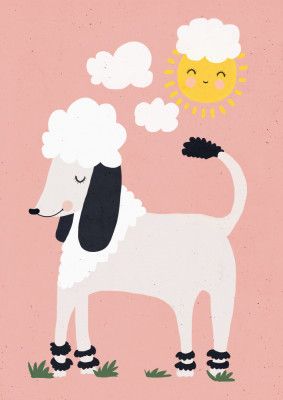 Poodle Sunshine