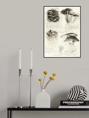 Various Botanical Mushrooms